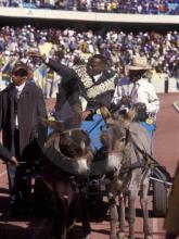 Kgosi Leruo Tshekedi Molotlegi, 36th King of the Bafokeng Kingdom, rides in a donkey cart during his enthronement at the Royal Bafoken.jpg